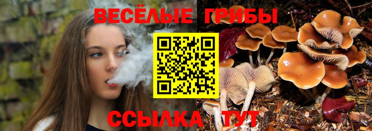 Гудермес  Галлюциногенные грибы мухоморы  Вход с VPN 